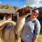 Vegan travel in peru with llama
