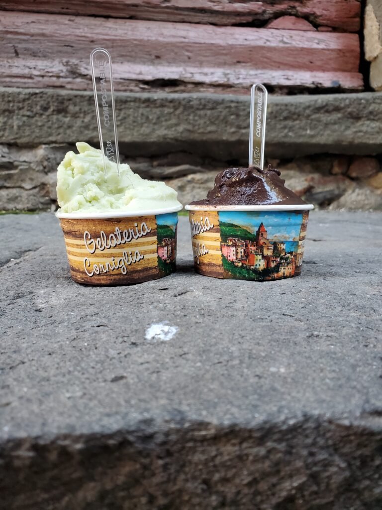 vegan gelato food in rome, italy