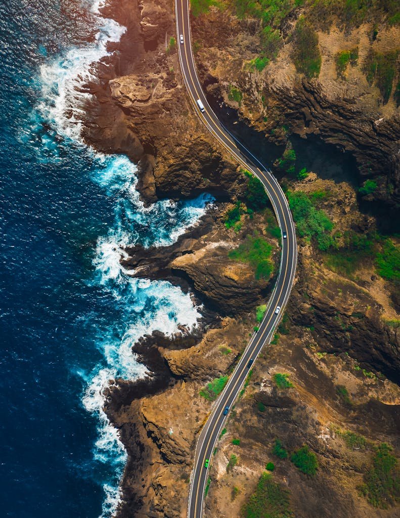 Pacific Coast Highway winding along California cliffs with the ocean in the background — vegan road trip route"
