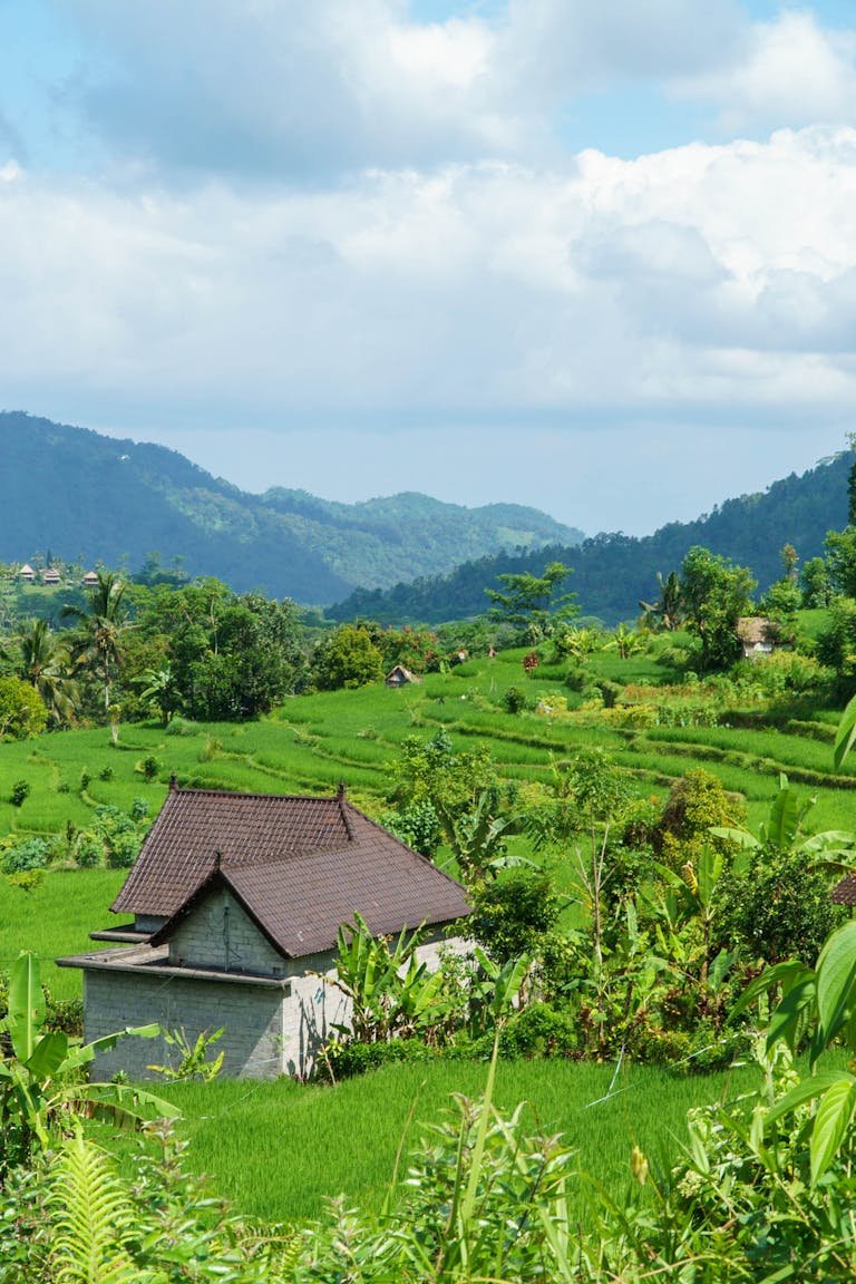 A scenic view of vibrant green rice terraces in Bali, Indonesia, with a traditional hut and mountains in the background.