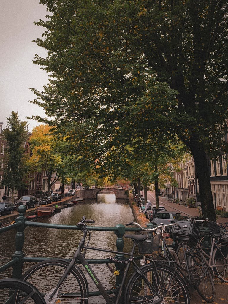 Amsterdam vegan itinerary