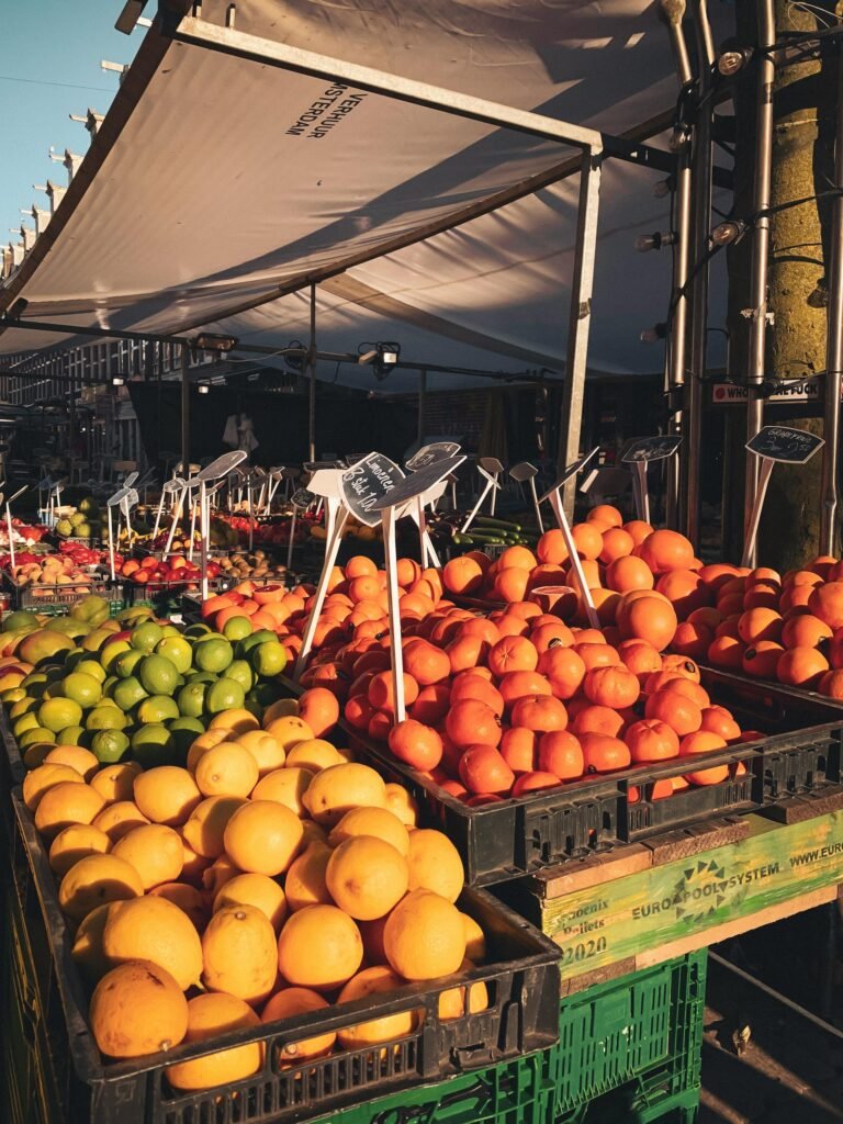 common mistakes vegan travelers make