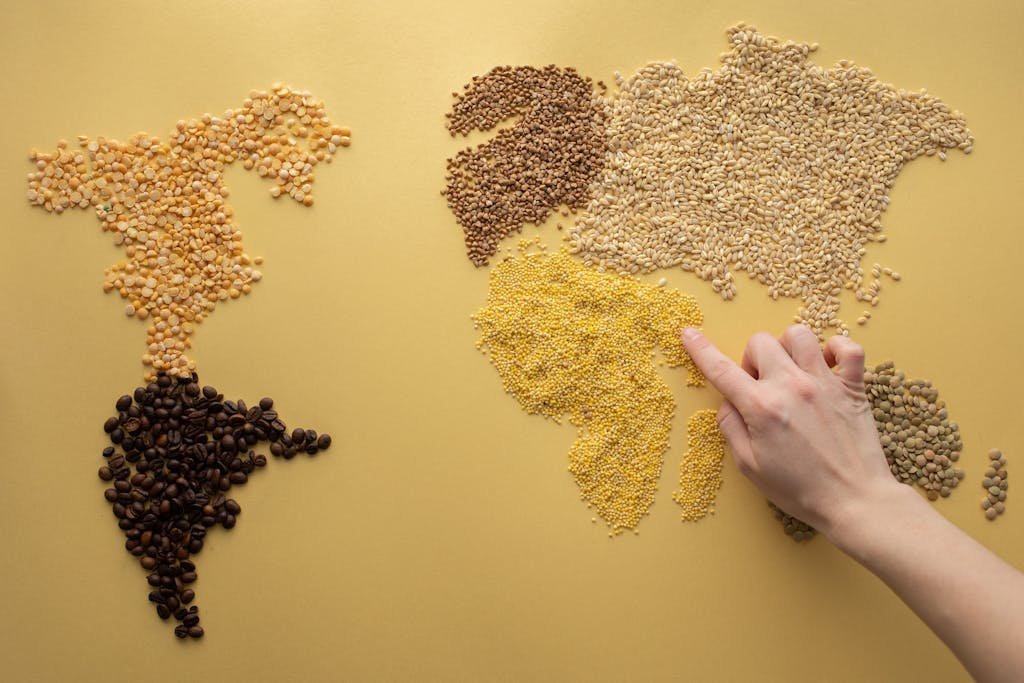 best vegan travel destinations