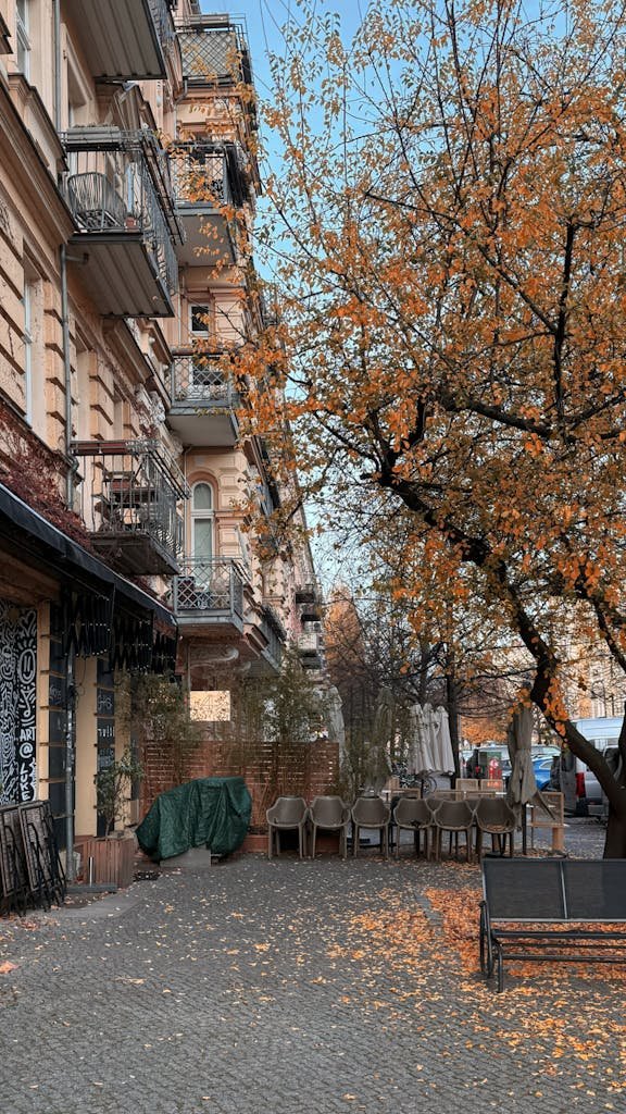 Captivating autumn scene in Berlin's Prenzlauer Berg, showcasing historic architecture and vibrant fall foliage.