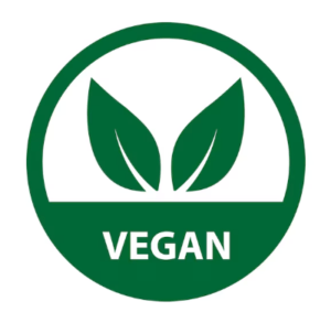 vegan travel italy