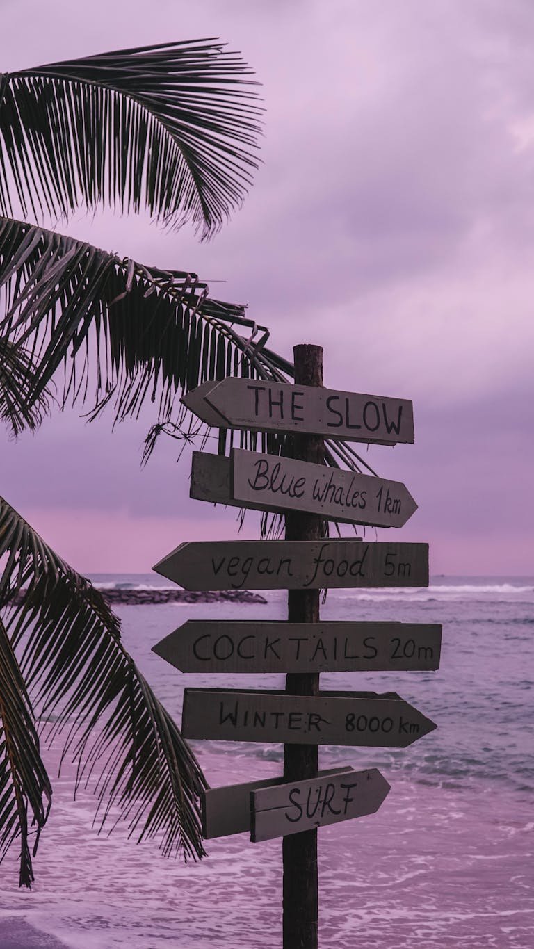 Wooden signpost with tropical scenery and pastel sunset sky.