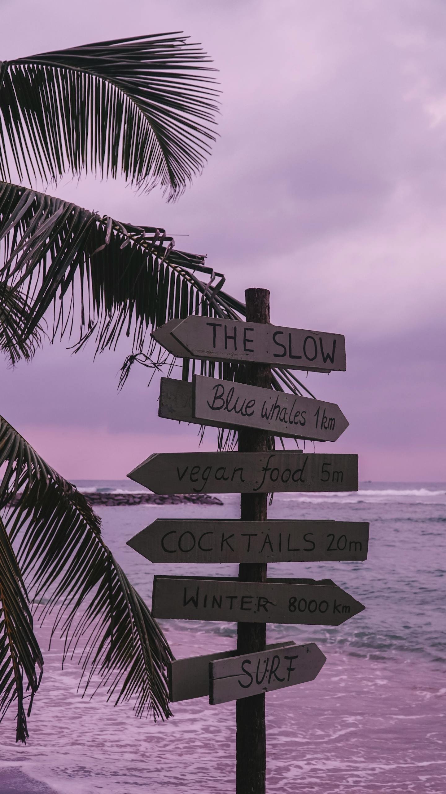 Wooden signpost with tropical scenery and pastel sunset sky.