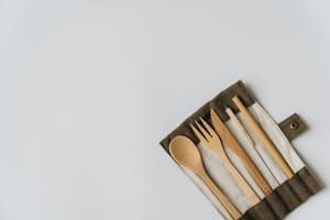 vegan travel accessories