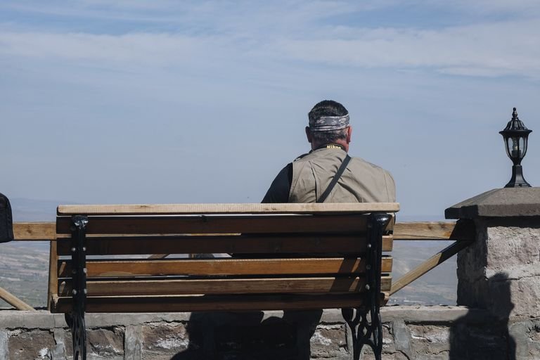 Plant-based traveler enjoying a scenic overlook in a rural area during a road trip