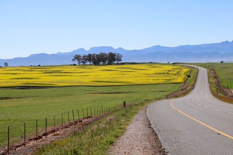 Traveling Vegan in Rural Areas