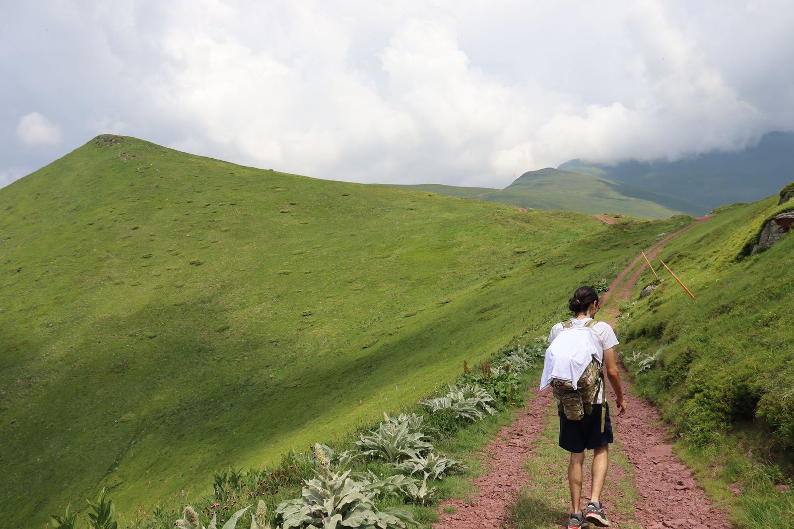 A lone hiker walks along a verdant mountain trail under a cloudy summer sky.