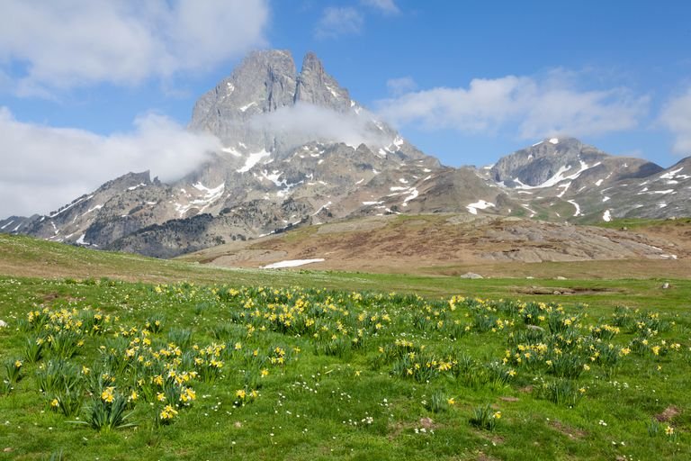 eastern Pyrenees countryside near Douceur et Harmonie veganic community, France