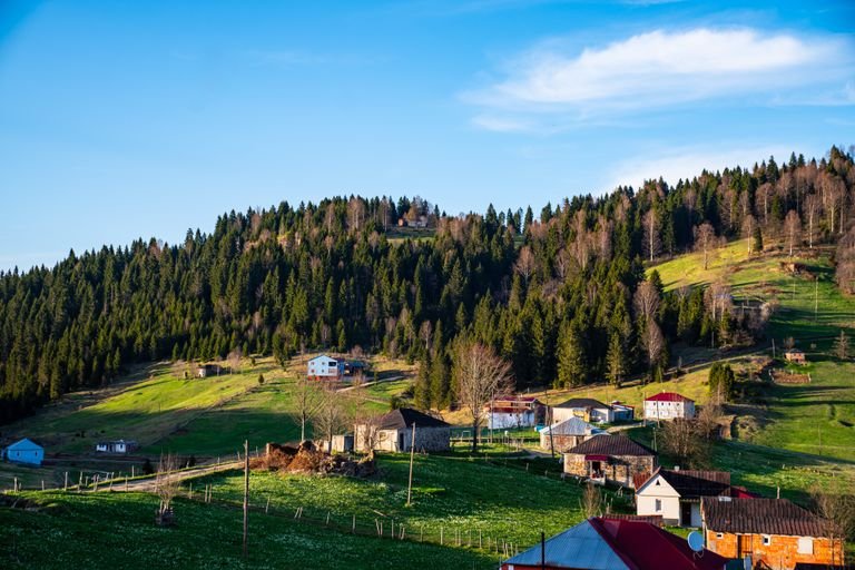 off-the-beaten-path vegan travel destinations