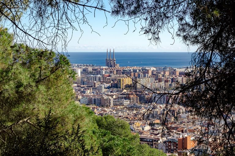 Panoramic view from Montjuïc over Barcelona's coastline, a relaxed final day stop on a vegan Barcelona itinerary