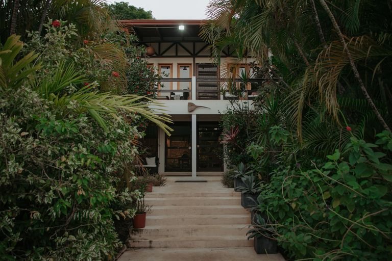 Saltwater pool and tropical garden at Mother Earth Vegan Hotel in Tamarindo, Costa Rica