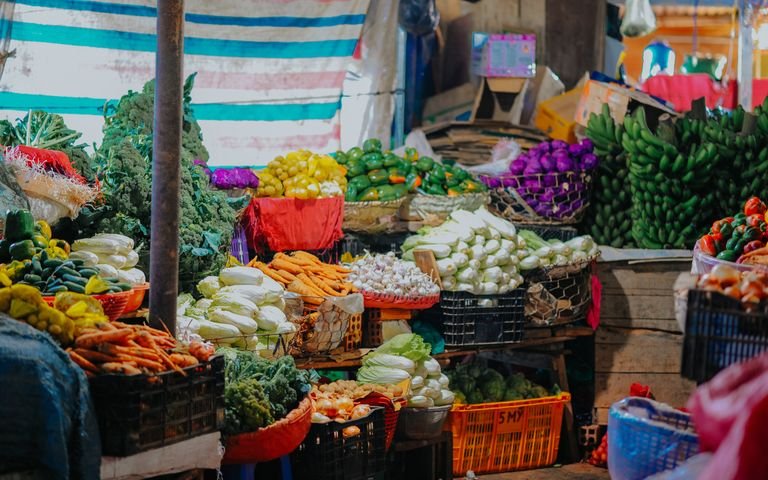 traveler shopping at a local farmers market for regeneratively grown produce