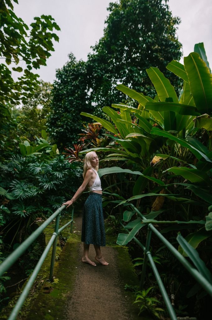 veganic garden at Gentle World's Big Island, Hawaii education center