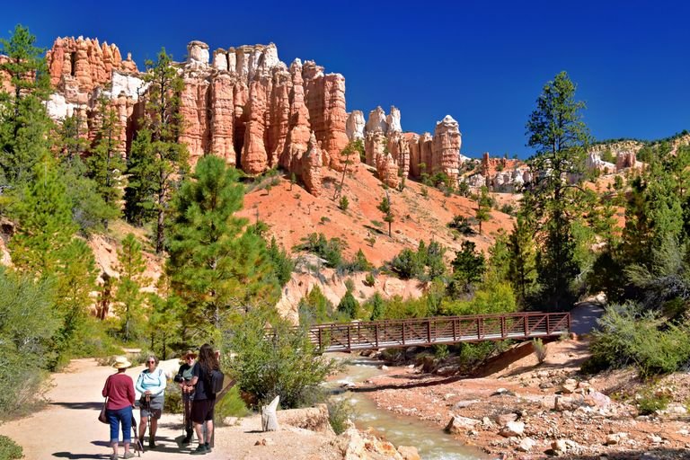 vegan Tourists explore the beautiful Bryce Canyon landscape with vibrant hoodoos.