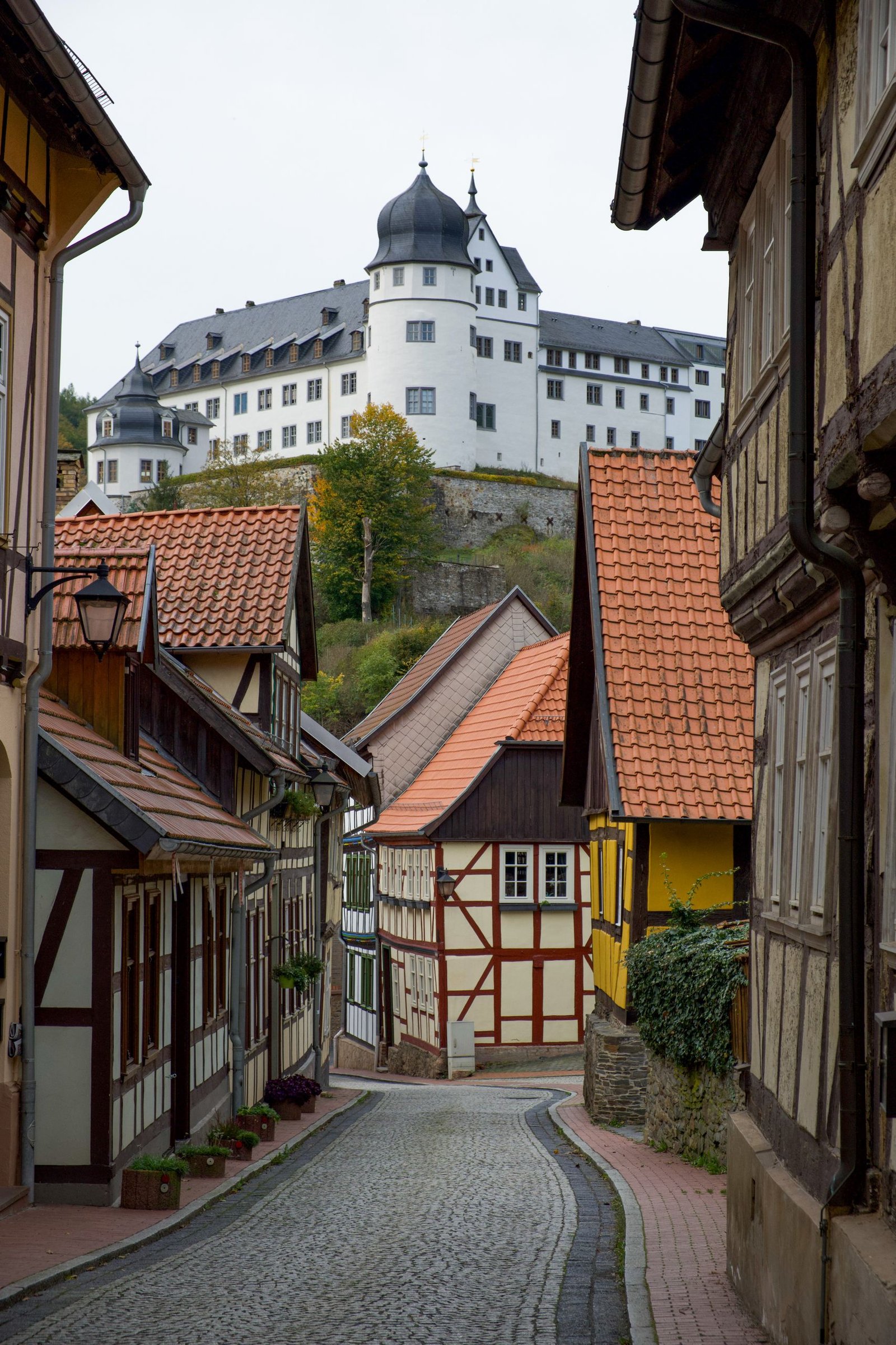 vegan travel in germany