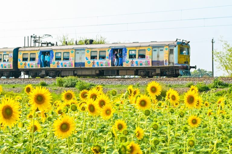 Vegan-friendly train journeys